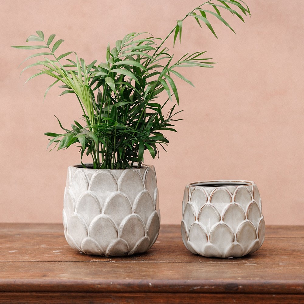 Glazed scalloped plant pot - cream