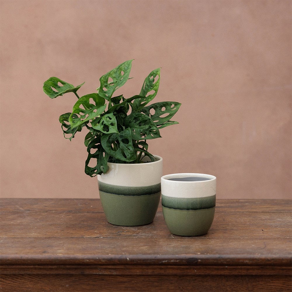 Glazed ombre plant pot - green