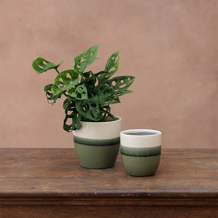 Glazed ombre plant pot - green