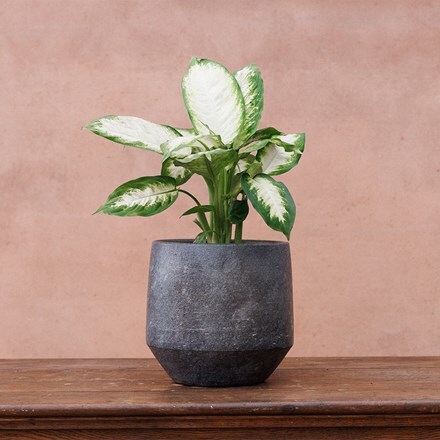 Ceramic textured plant pot - steel grey