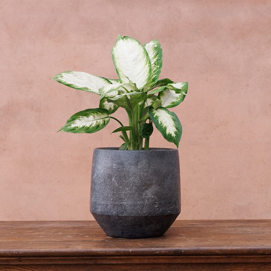 Ceramic textured plant pot - steel grey