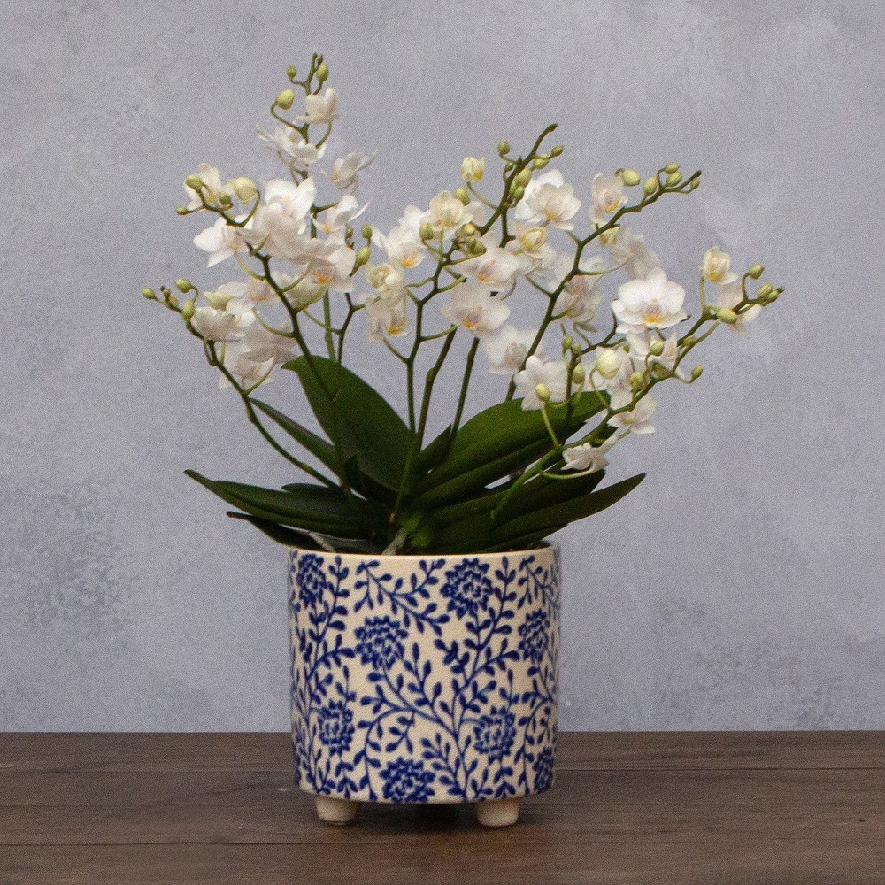 Floral print plant pot with feet - blue