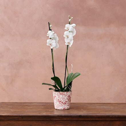 Vintage floral print plant pot - pink