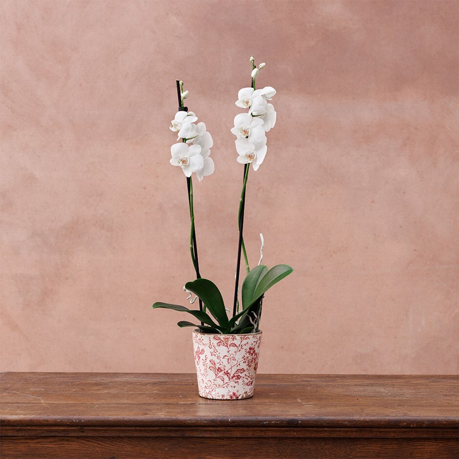 Vintage floral print plant pot - pink