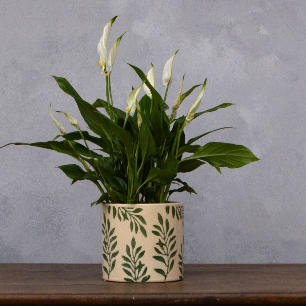 Leaf print plant pot - green