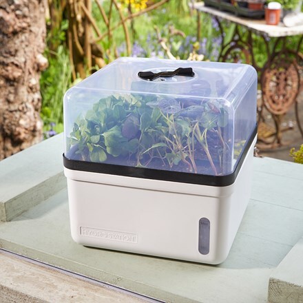 Self-watering kitchen propagator  - white