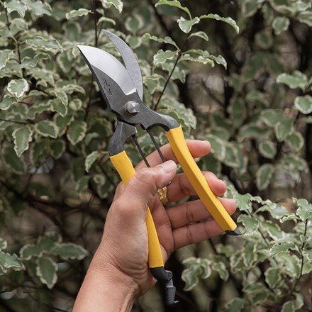 Niwaki GR Pro large secateurs