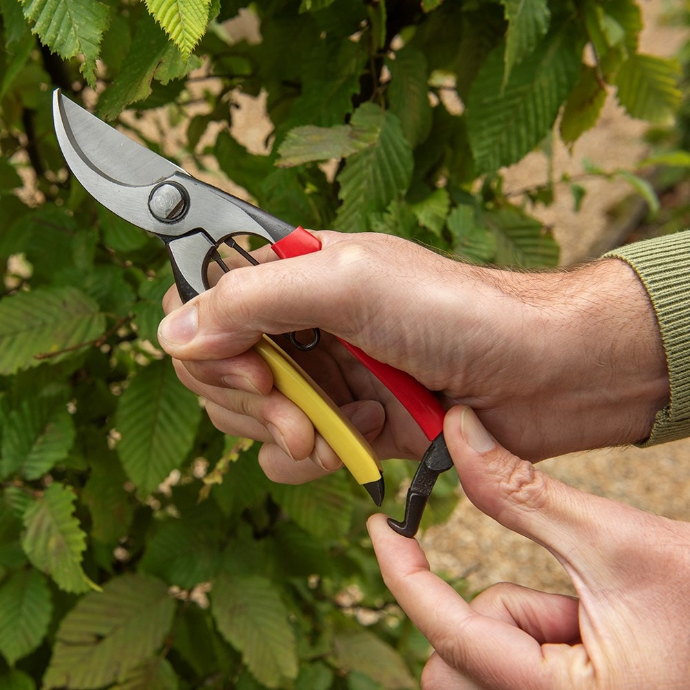 Niwaki Tobisho SR-1 secateurs