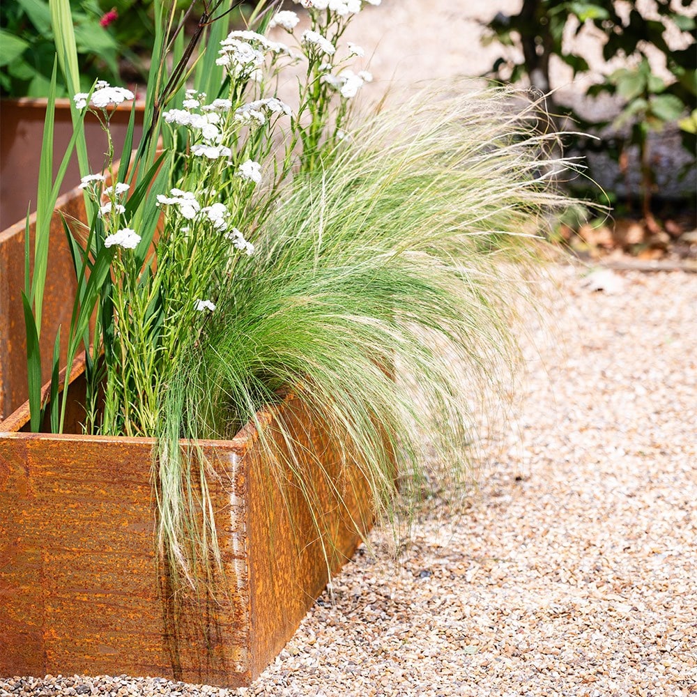 Corten steel trough planter