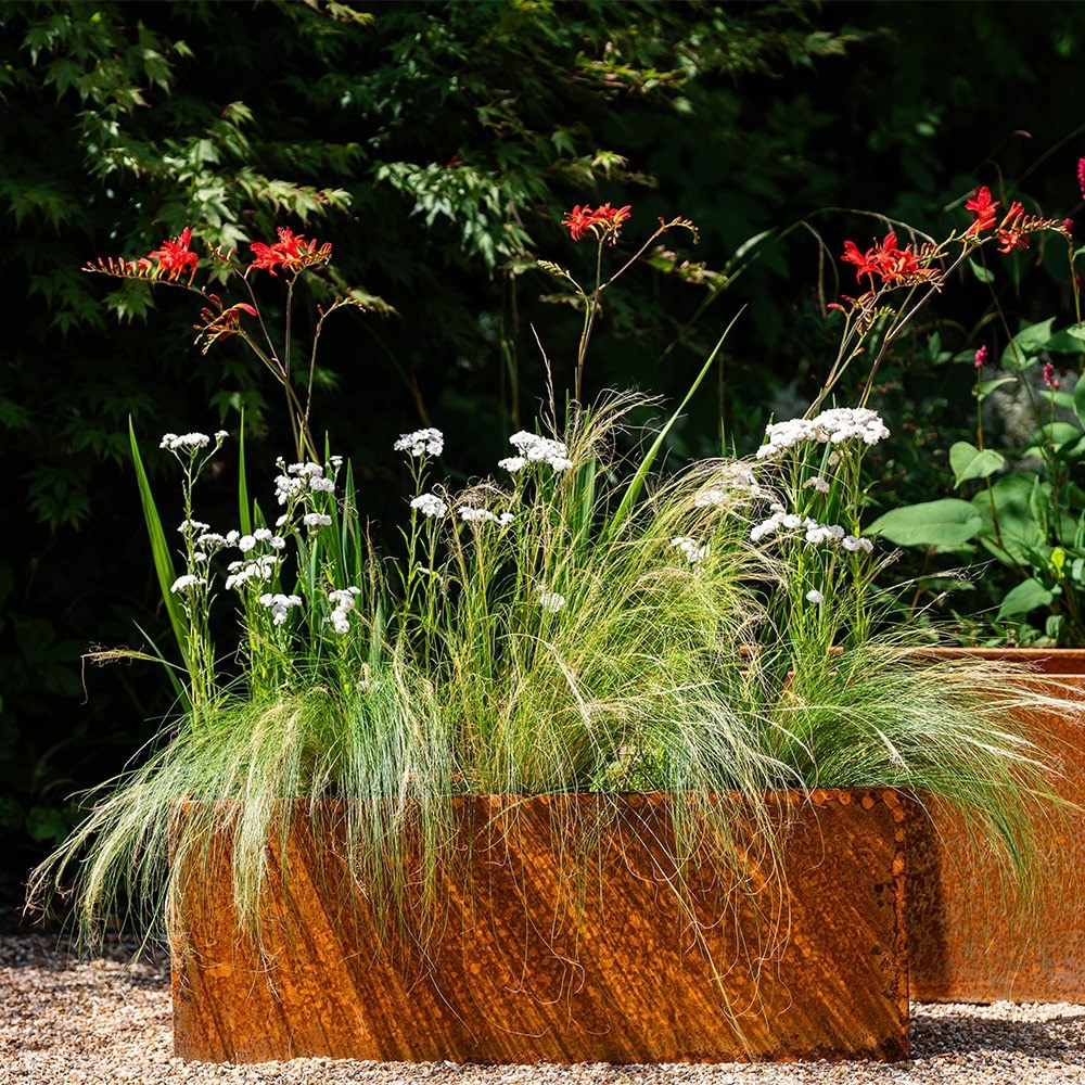 Corten steel trough planter