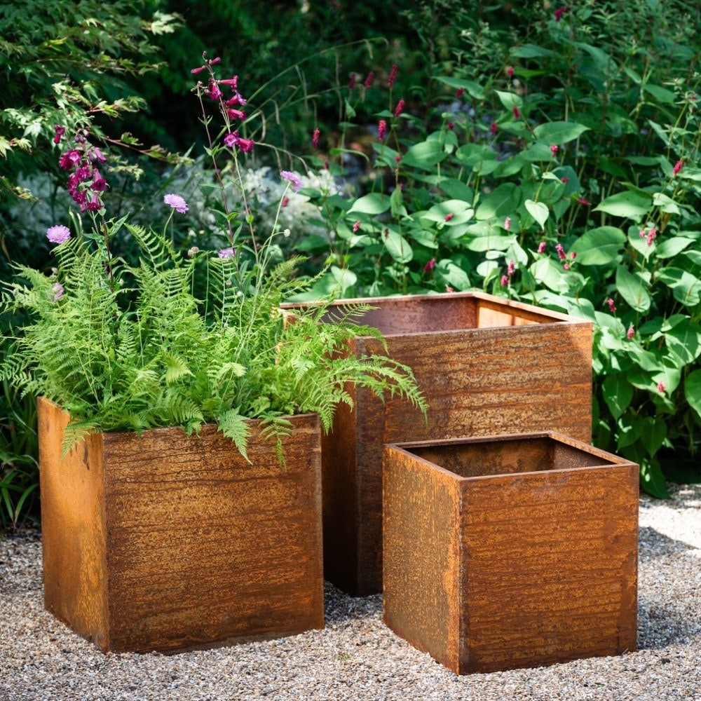 Product options image