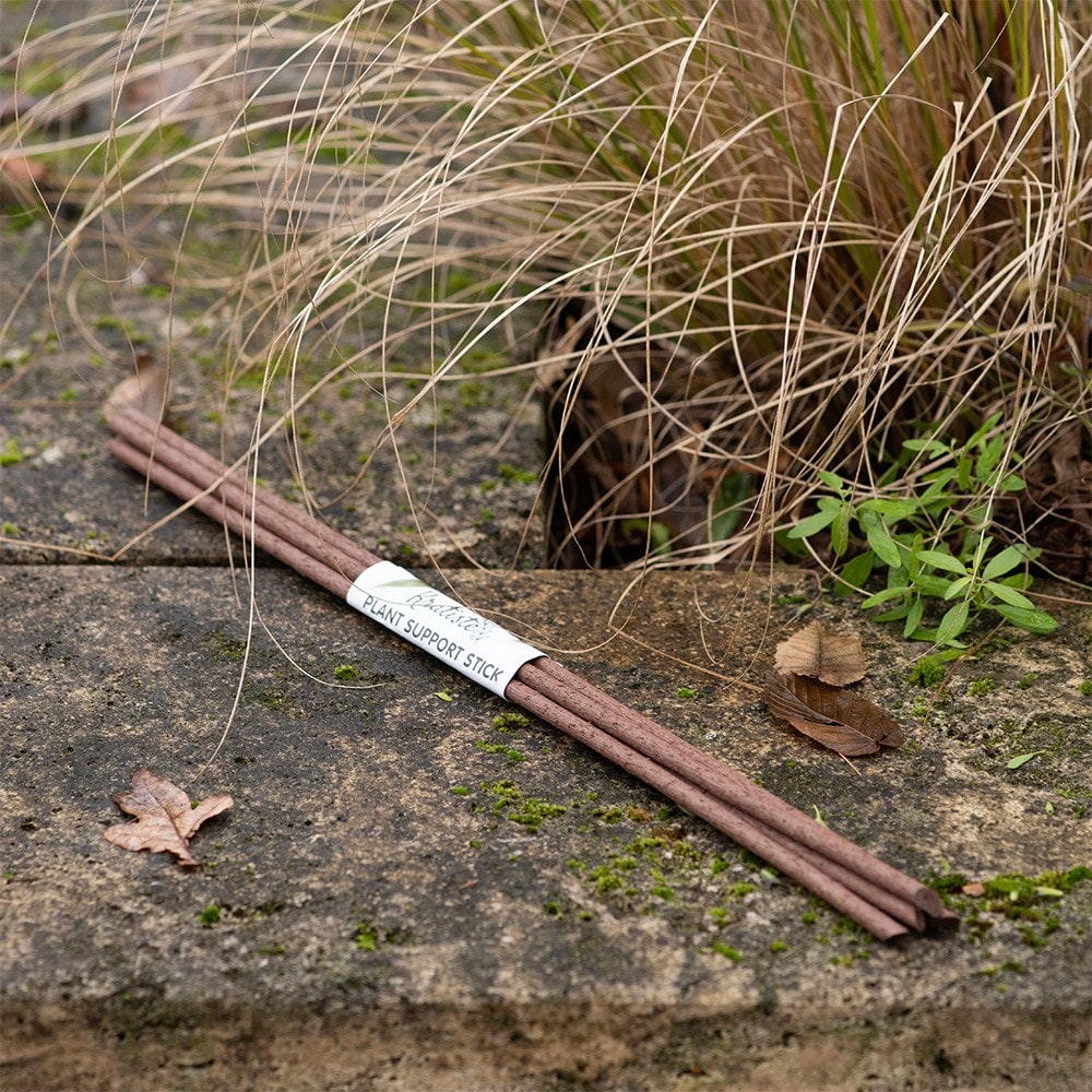 Product options image