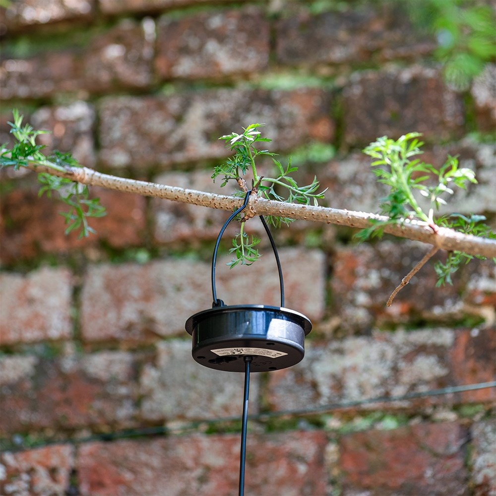 Solar pendant wicker