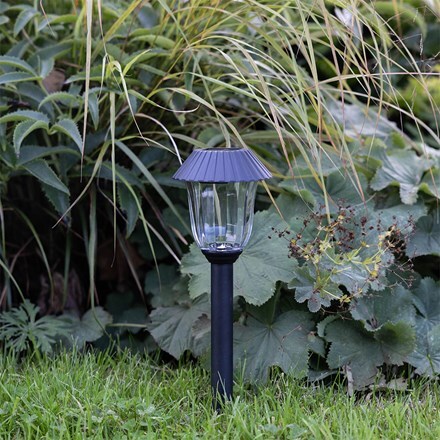 Solar stake path light