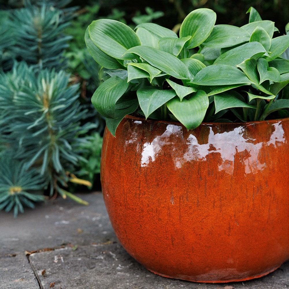 Deep bowl planter - rust orange