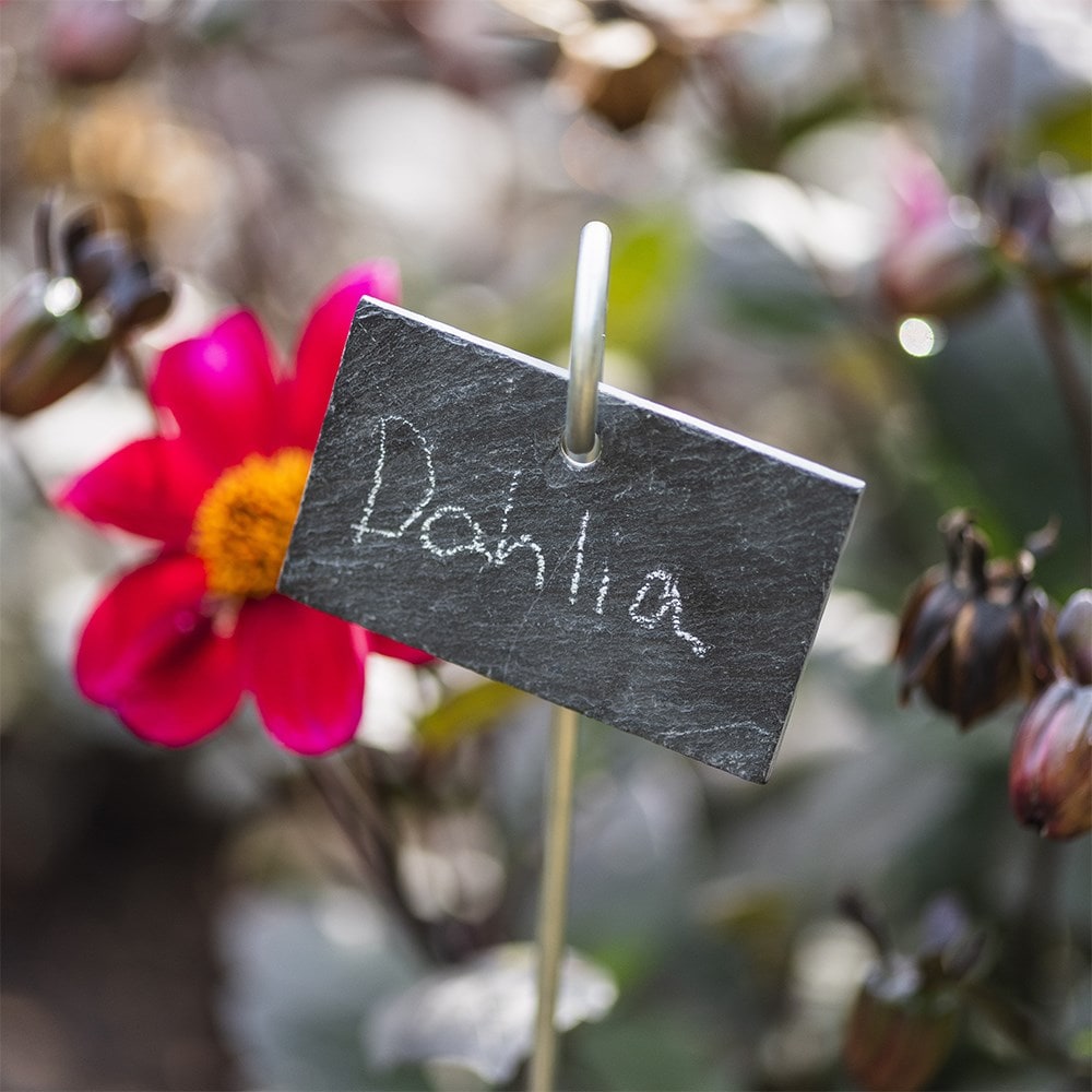 Slate plant label with metal stake