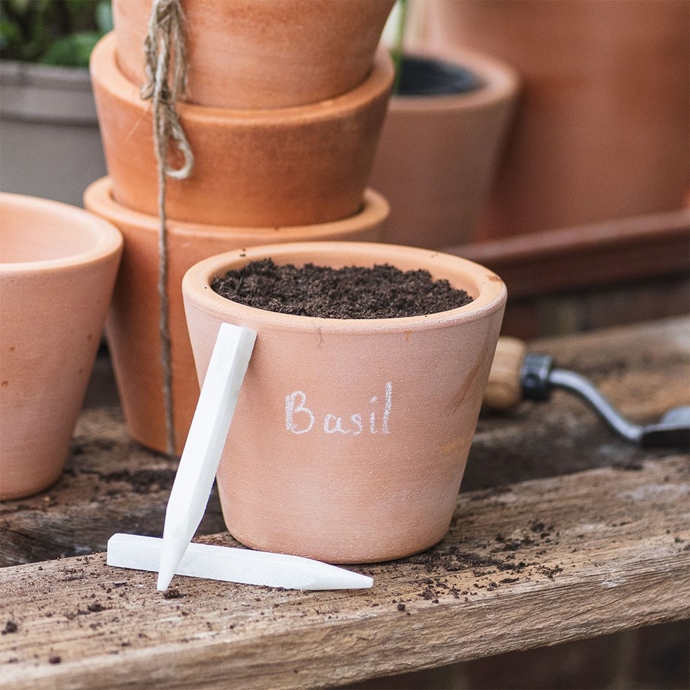 Product options image