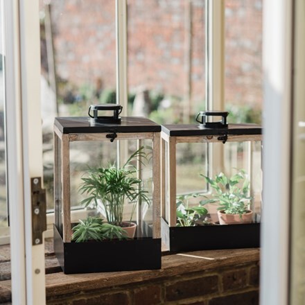 Greenhouse lantern