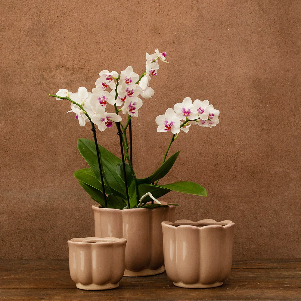 Ceramic petal plant pot set of 3 - blush