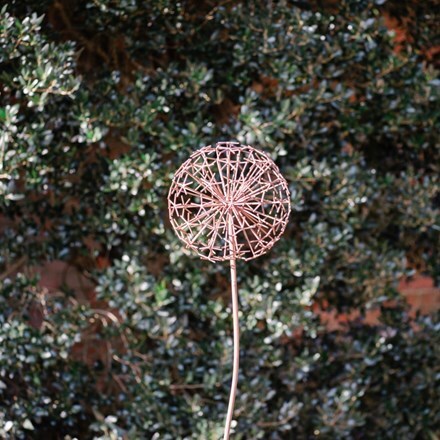 Rusted allium stake