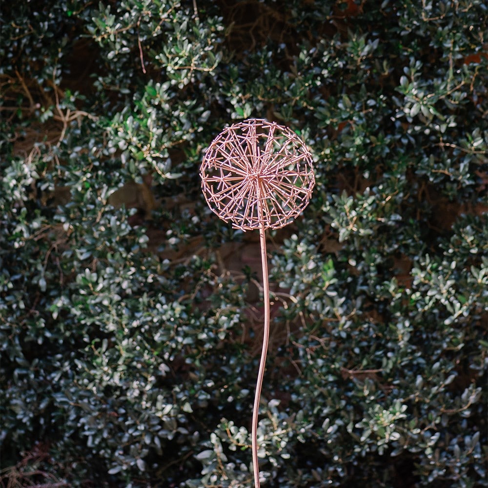 Rusted allium stake