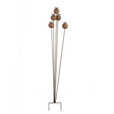 Rusted poppy seed cluster