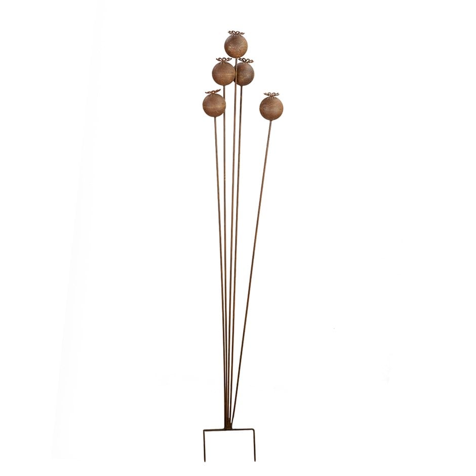 Rusted poppy seed cluster