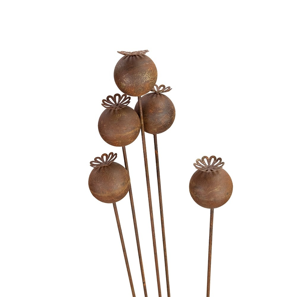 Rusted poppy seed cluster