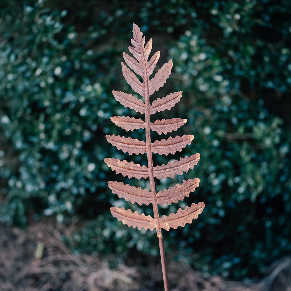 Rusted fern stake medium