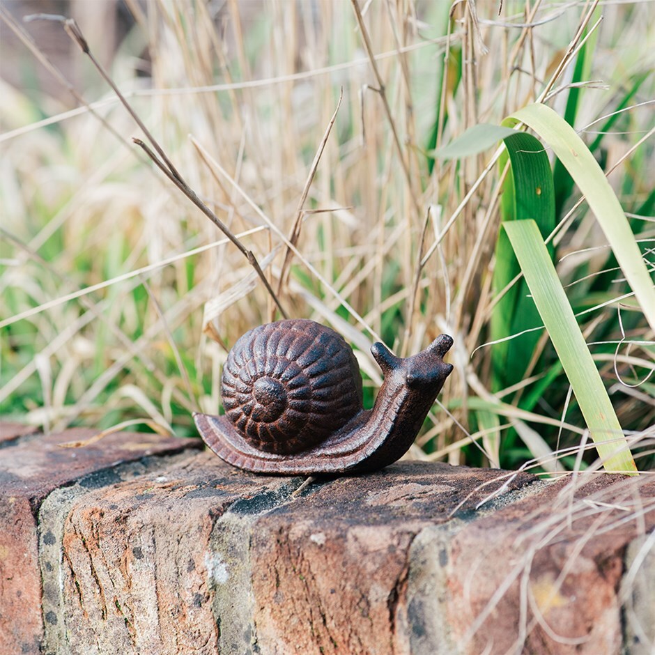 Cast iron snail