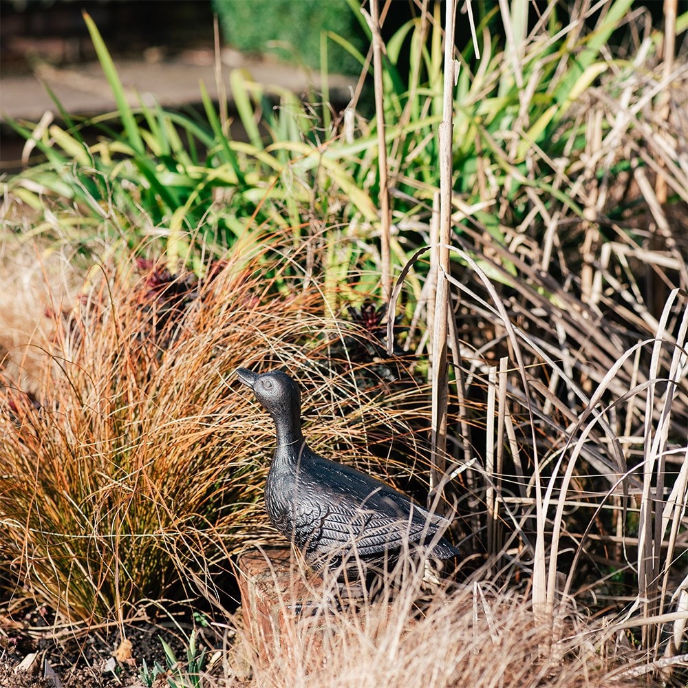 Cast iron duck
