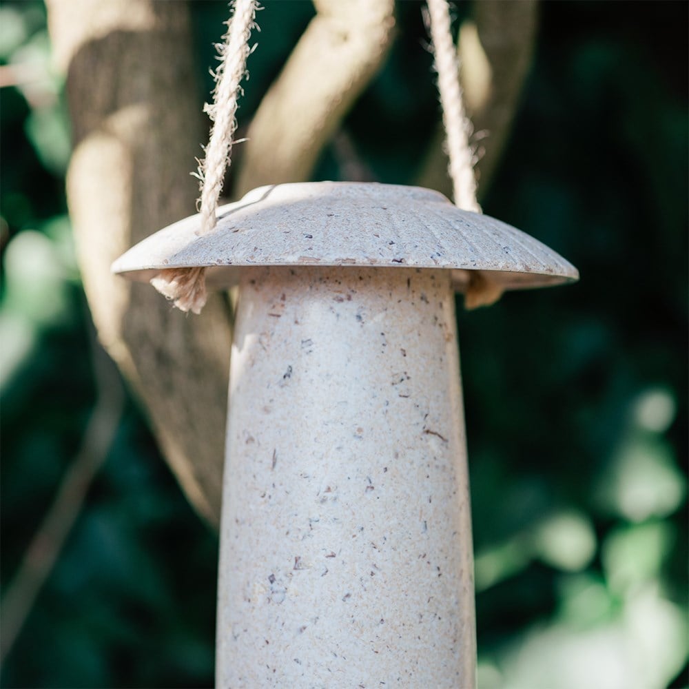 Sustainable seed bird feeder - nut
