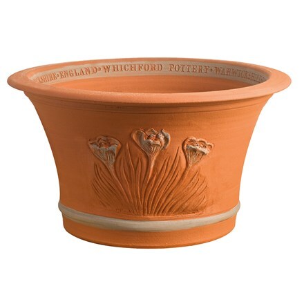RHS spring bulb pot