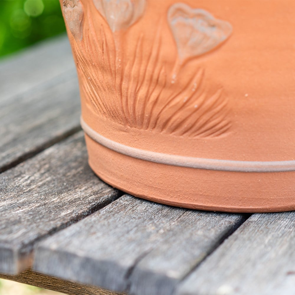 RHS spring bulb pot