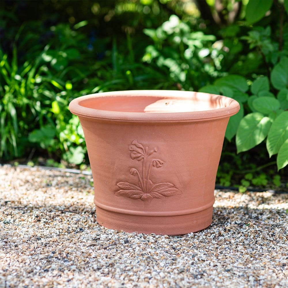 Product options image