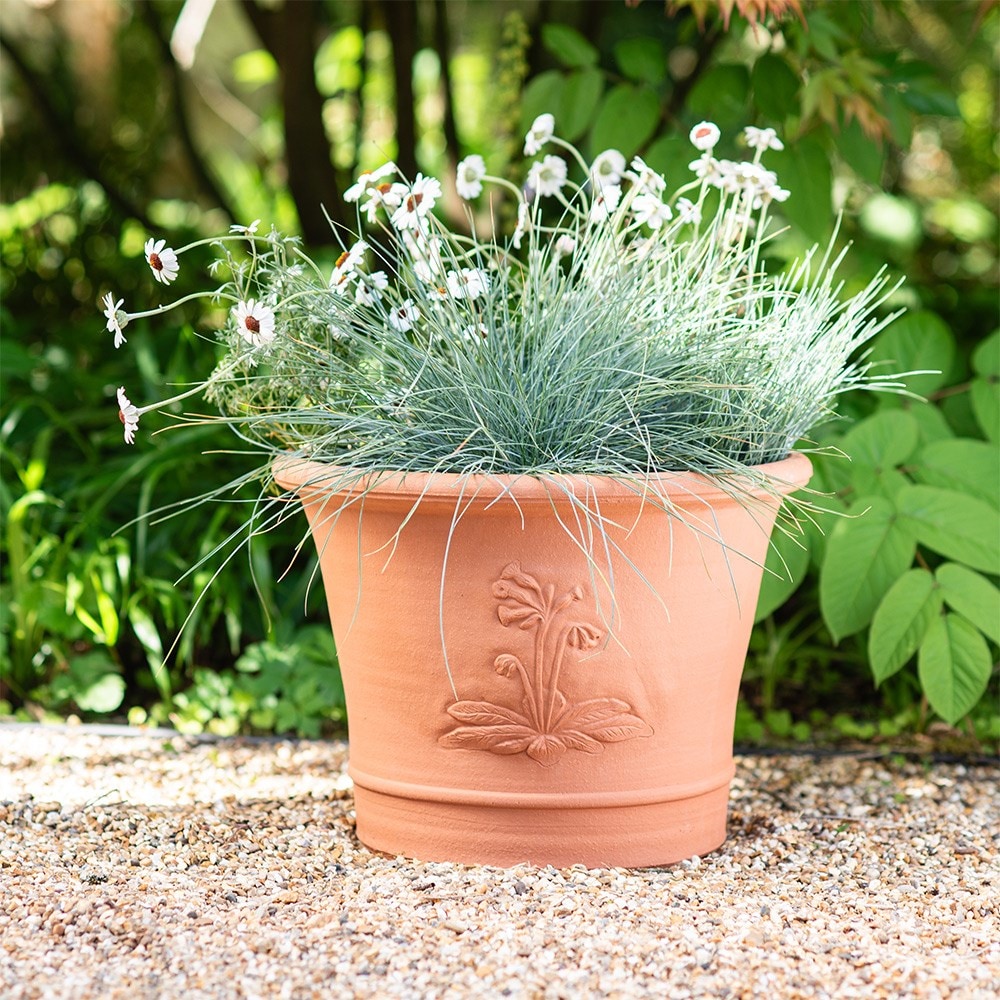 RHS cowslip pot