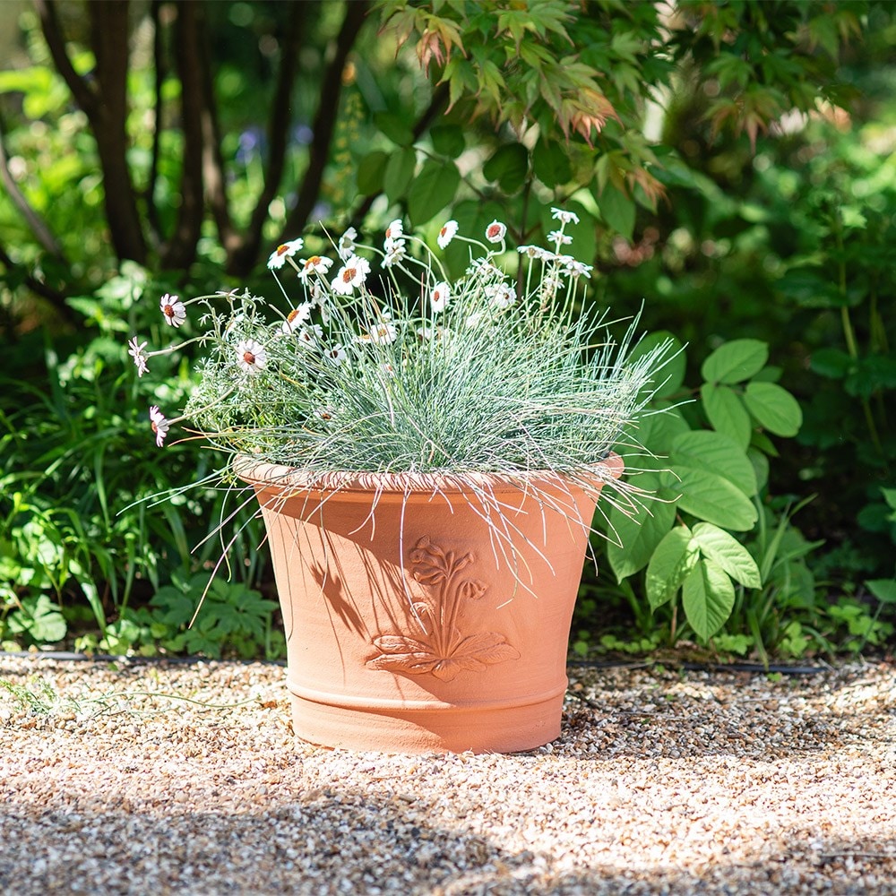 RHS cowslip pot