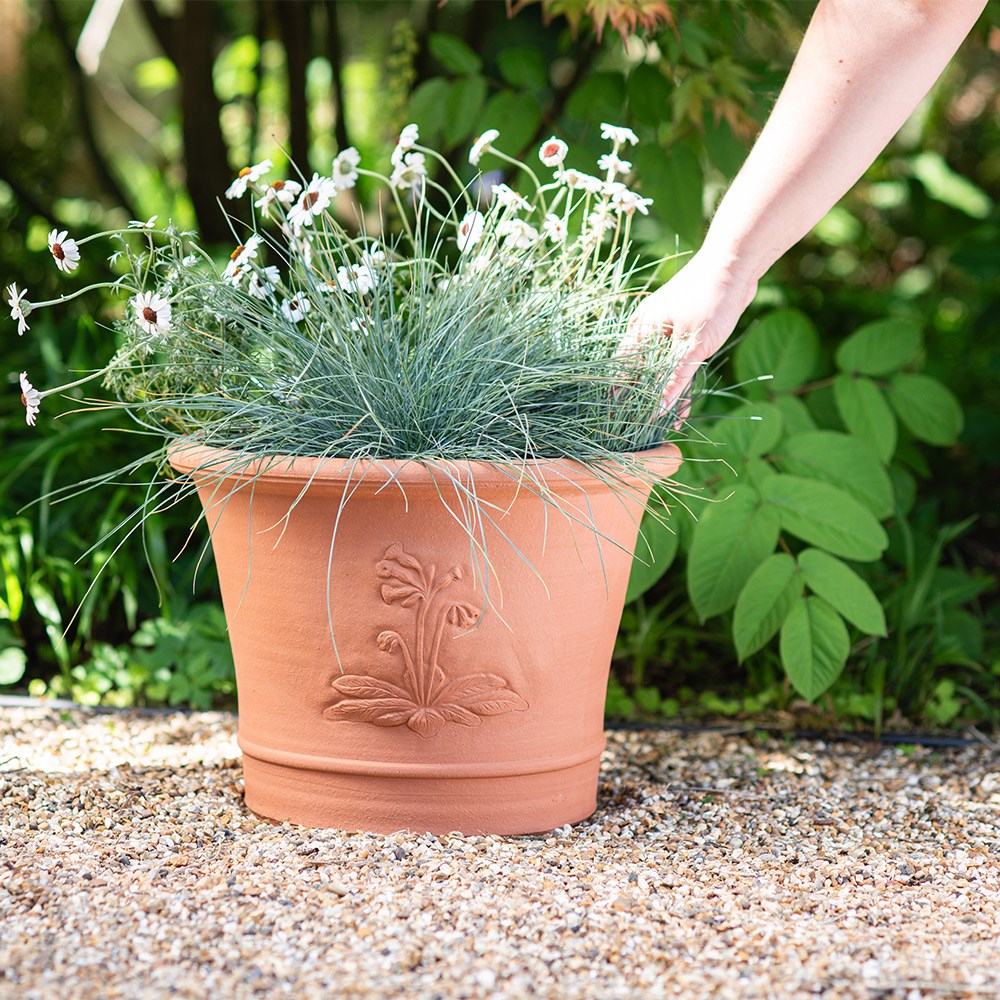 RHS cowslip pot
