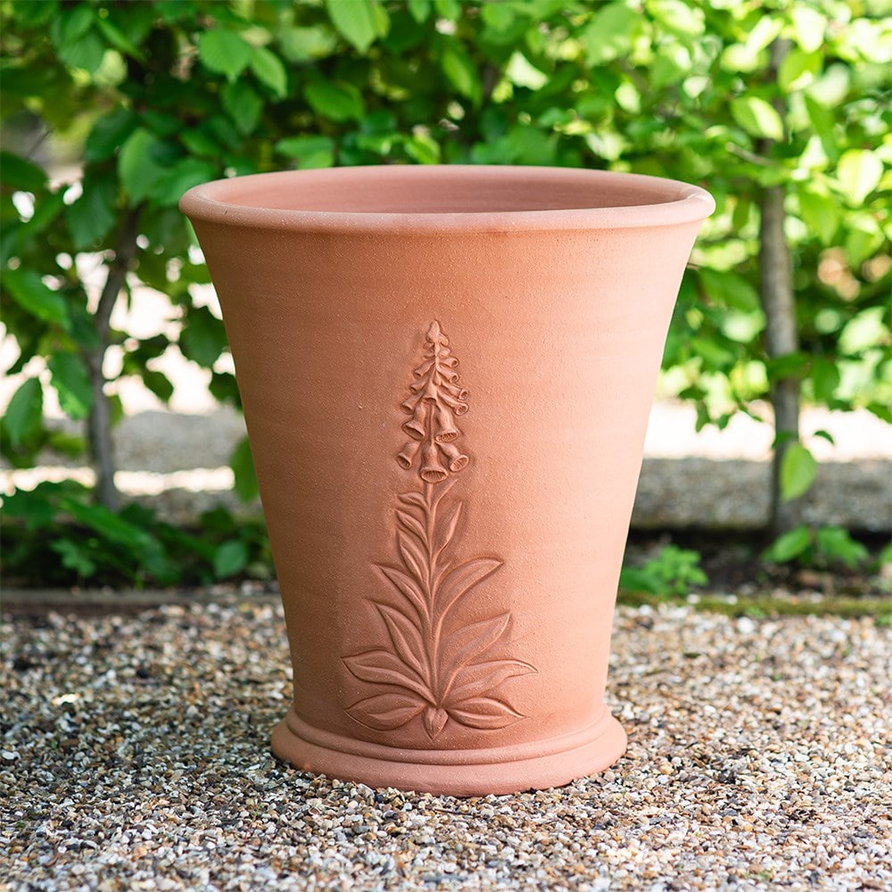 RHS foxglove pot