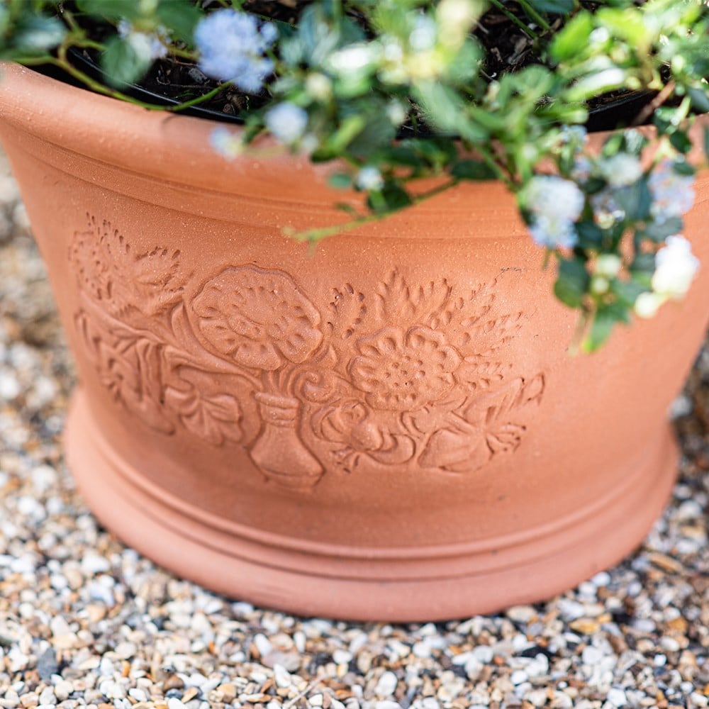 RHS roses and lilies pot