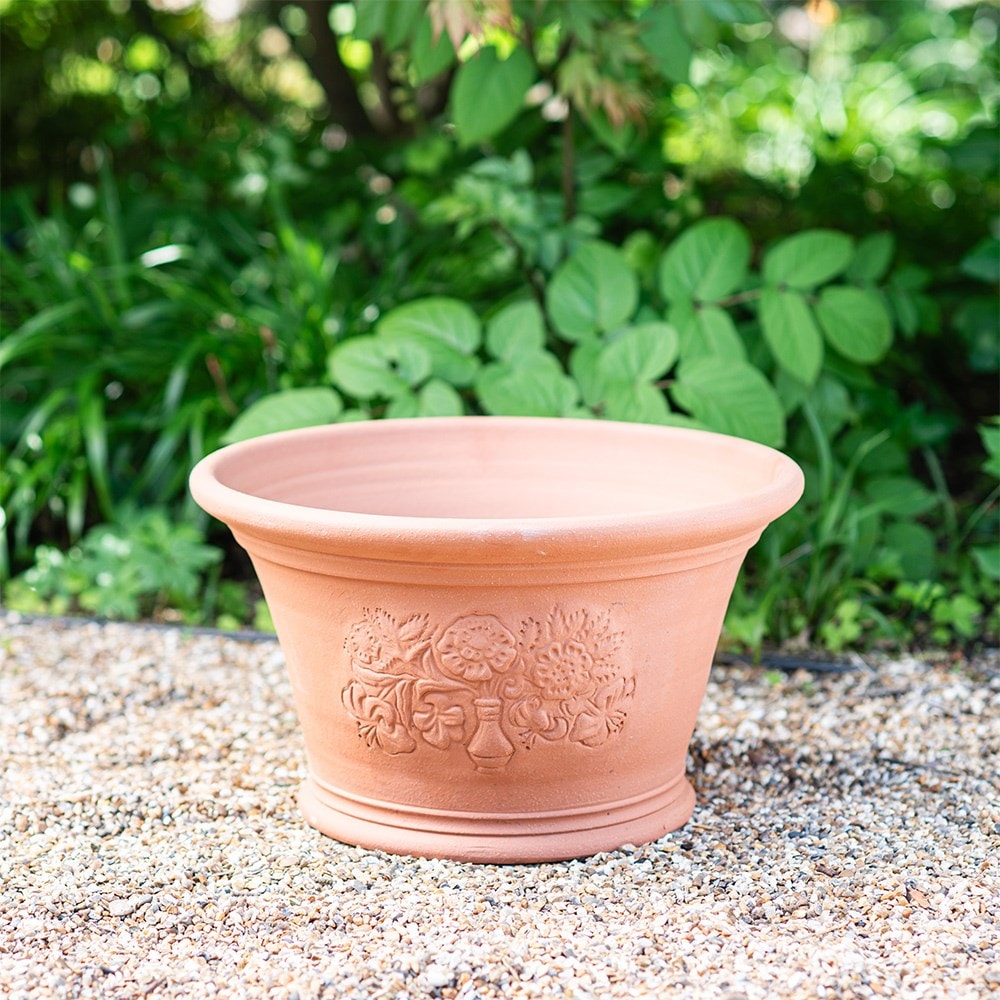 RHS roses and lilies pot