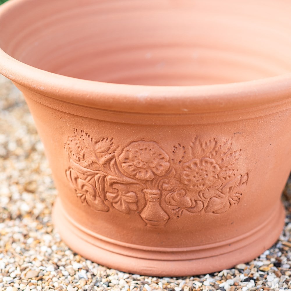 RHS roses and lilies pot