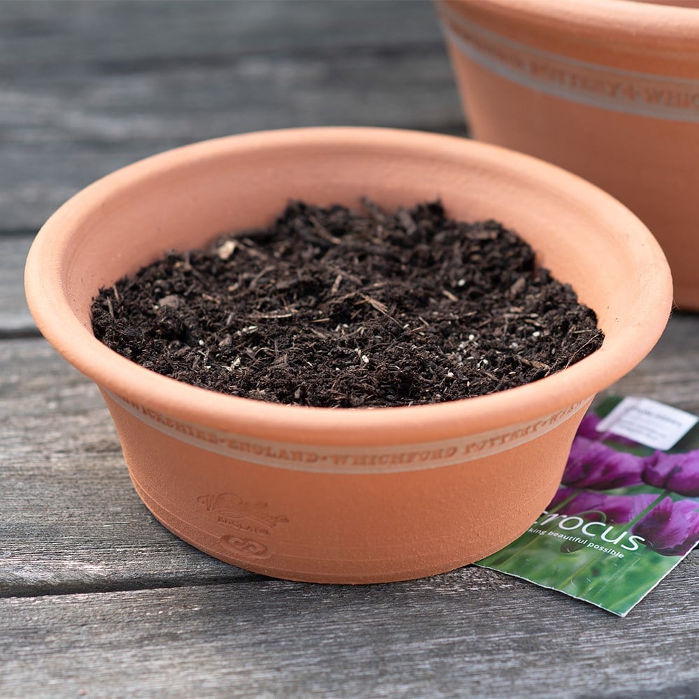 RHS Wisley gardener's seedpan pot