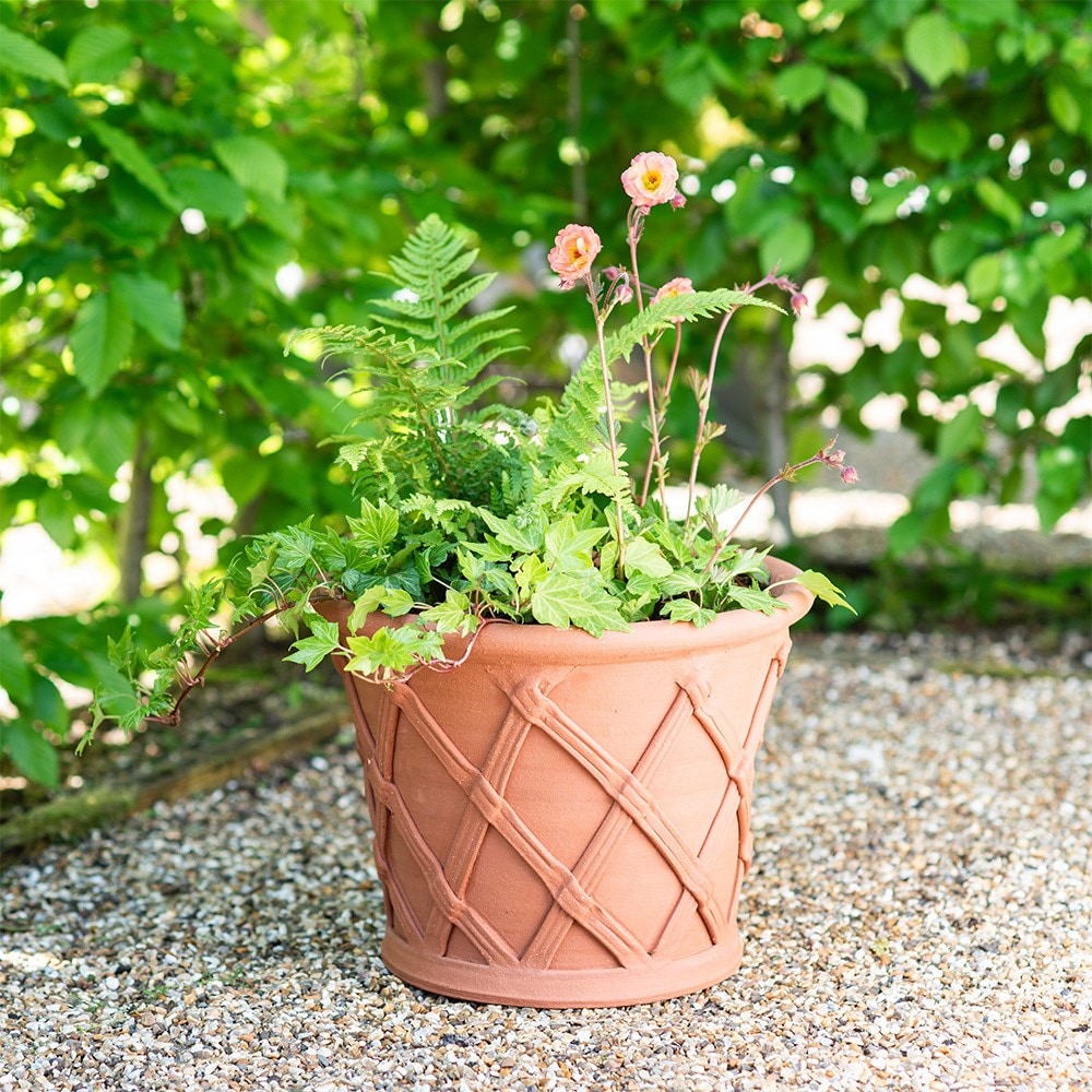 Terracotta basket pot