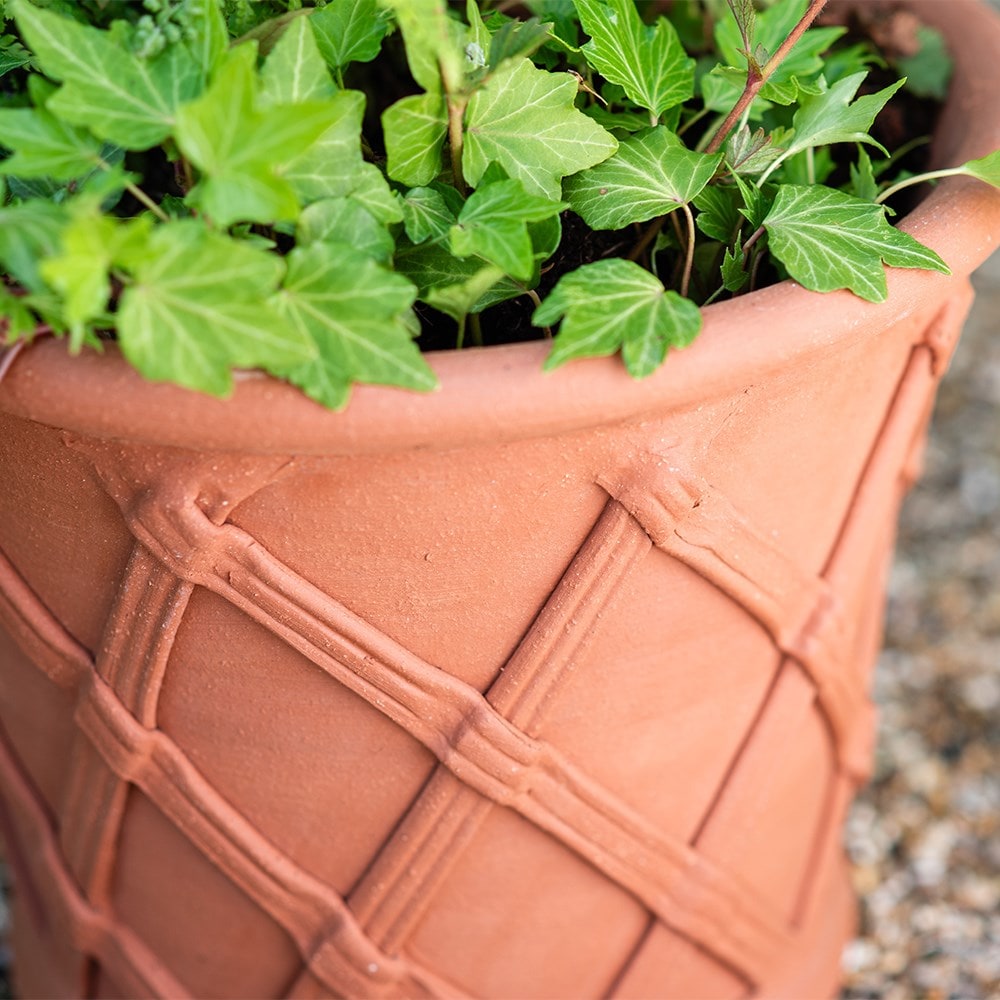Terracotta basket pot