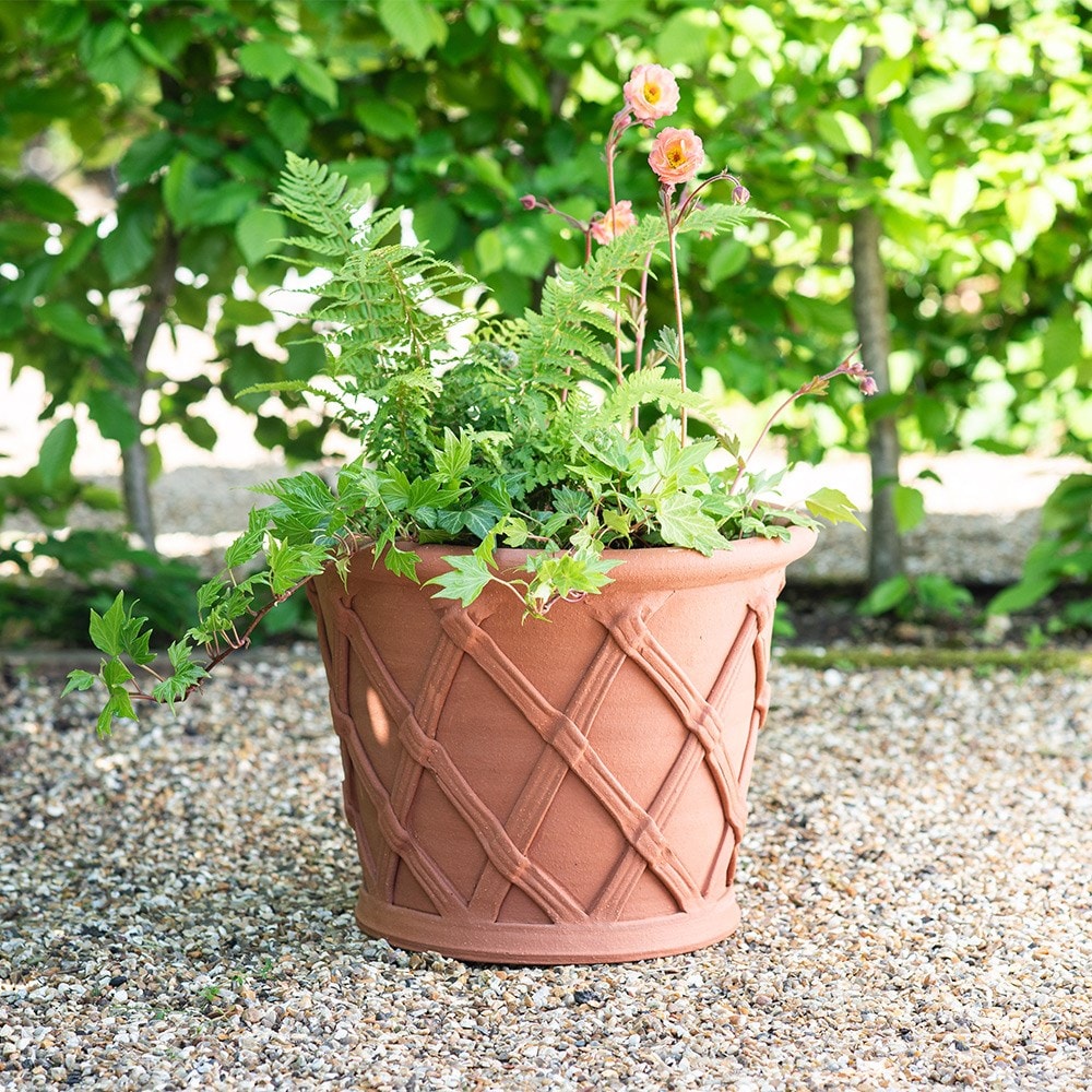 Terracotta basket pot