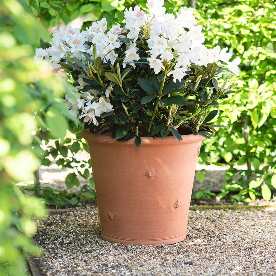 Terracotta bee pot