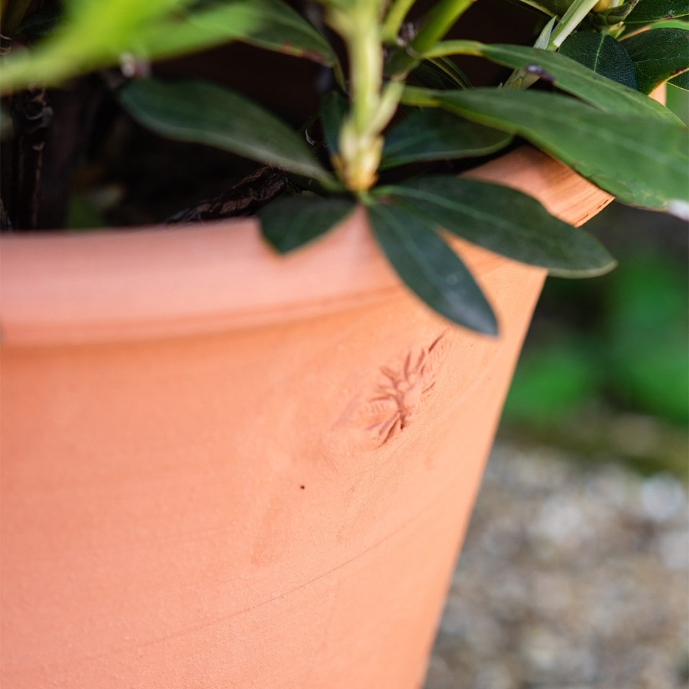 Terracotta bee pot