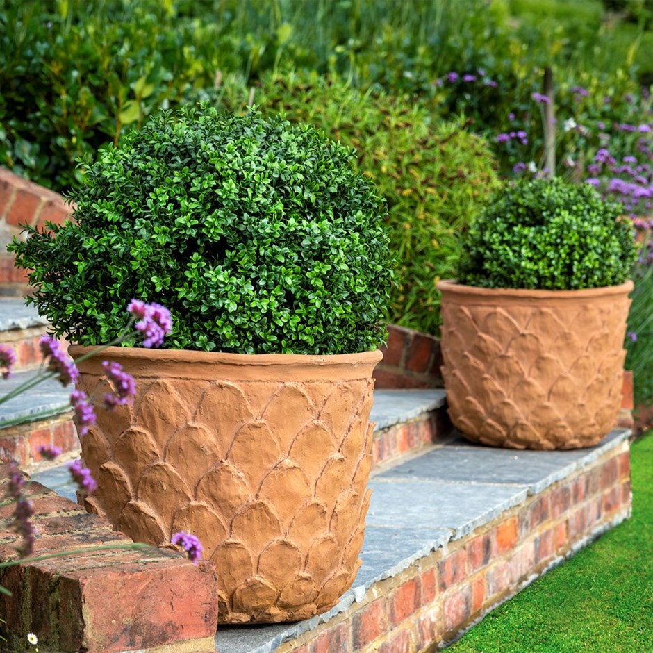 Lightweight pineapple planter