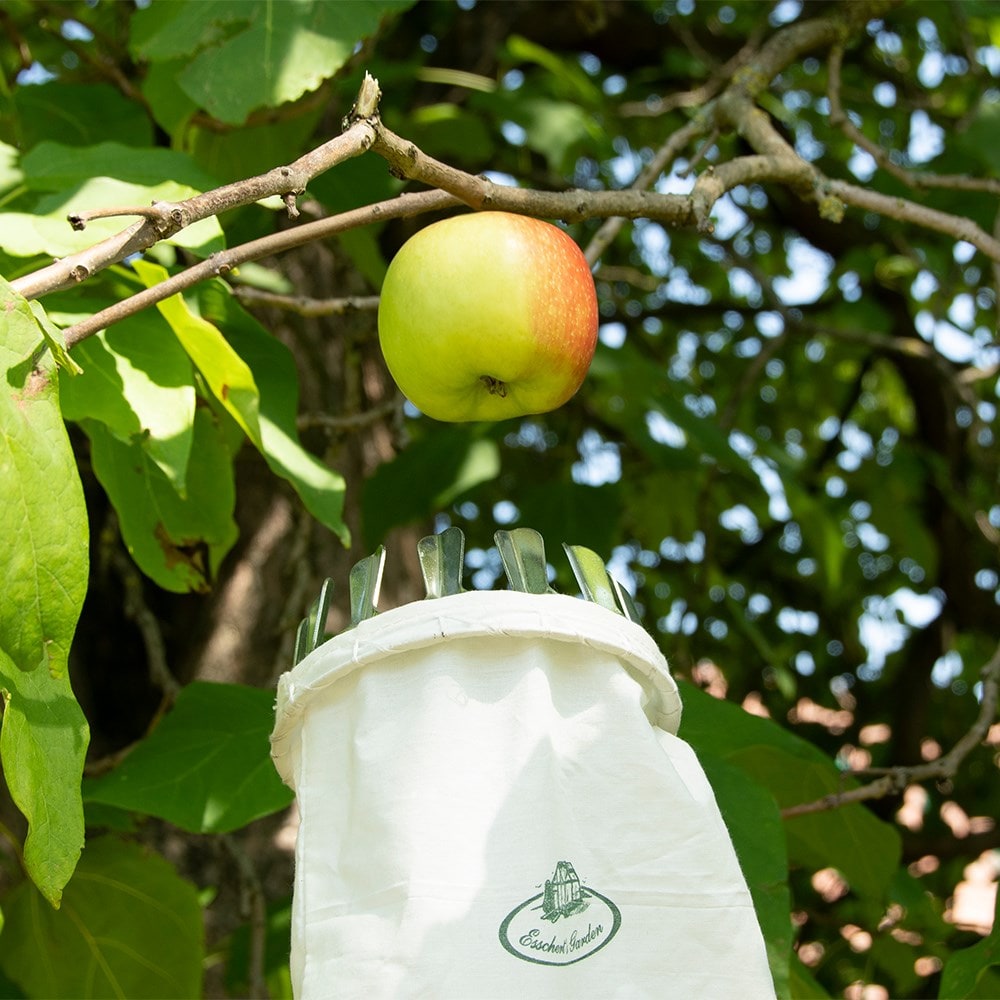 Fruit picker with bag